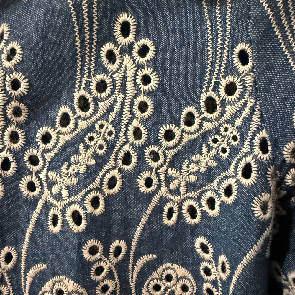 Zara Denim Embroidered A Line Mini Dress